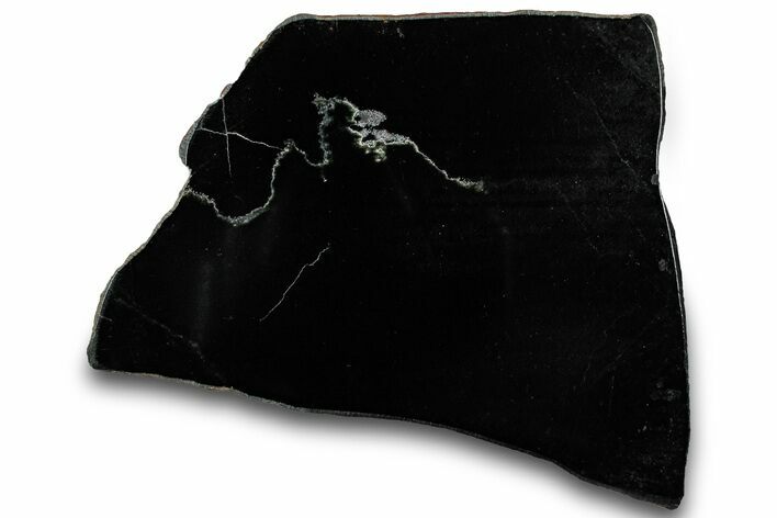 Polished Black Jade (Actinolite) Section - Western Australia #314582